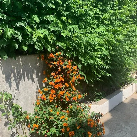 Aida And For Couples And Families Free Parking * Dubrovnik