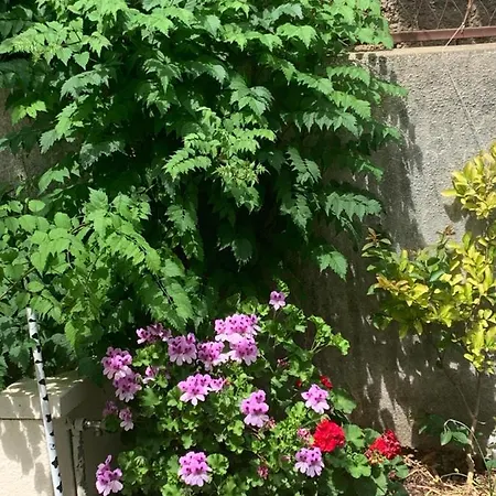 Aida And For Couples And Families Free Parking