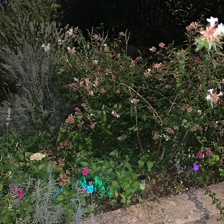 Aida And For Couples And Families Free Parking Lejlighed Dubrovnik