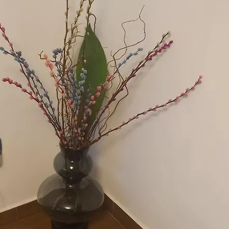 Aida And For Couples And Families Free Parking Dubrovnik