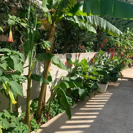 Lejlighed Aida And For Couples And Families Free Parking Dubrovnik