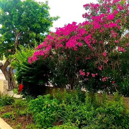 Aida And For Couples And Families Free Parking * Dubrovnik