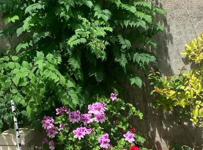 Aida And For Couples And Families Free Parking