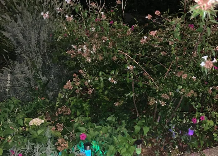 Aida And For Couples And Families Free Parking Apartman Dubrovnik