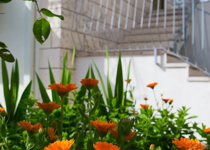 Aida And For Couples And Families Free Parking *