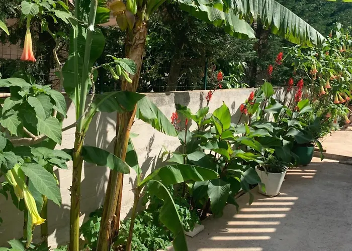 Apartman Aida And For Couples And Families Free Parking Dubrovnik