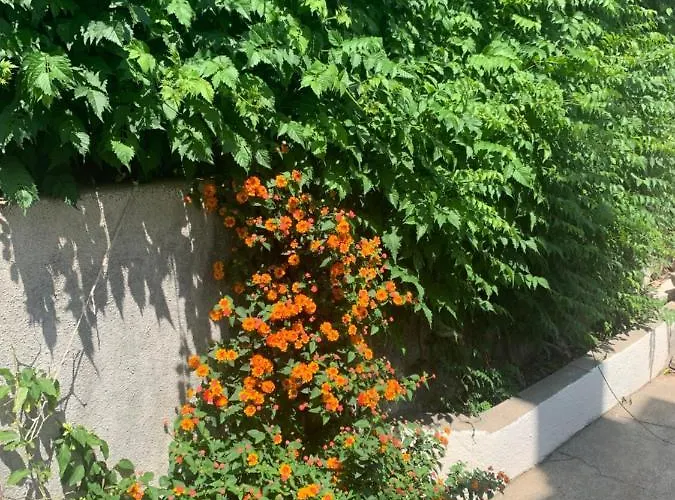 Aida And For Couples And Families Free Parking * Dubrovnik