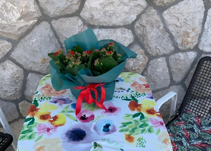 Aida And For Couples And Families Free Parking *