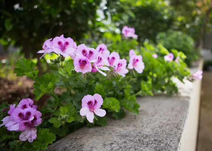 Aida And For Couples And Families Free Parking * Dubrovnik