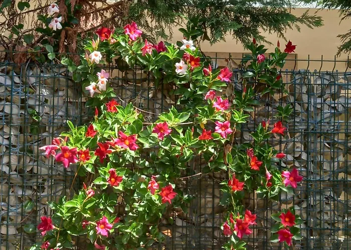 Aida And For Couples And Families Free Parking