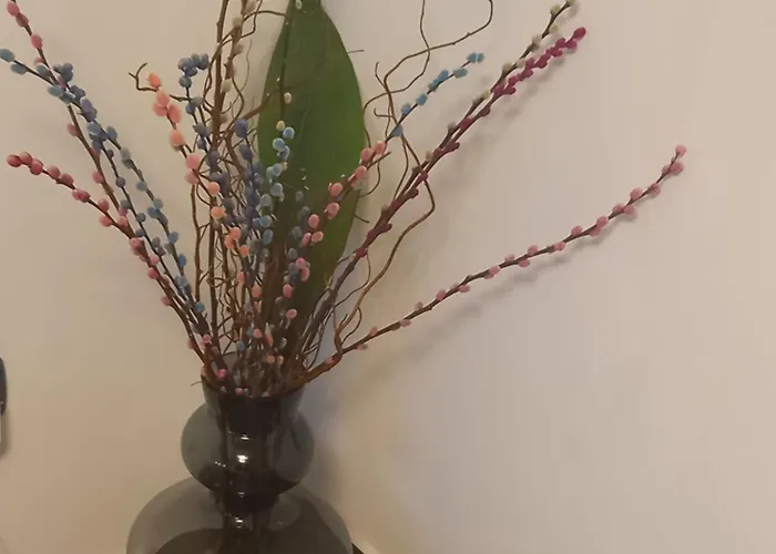 Aida And For Couples And Families Free Parking Dubrovnik