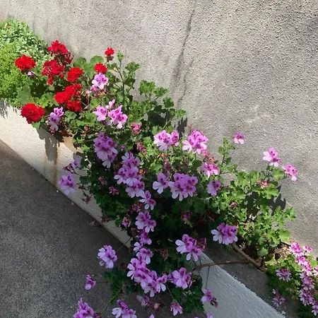 Aida And For Couples And Families Free Parking 두브로브니크