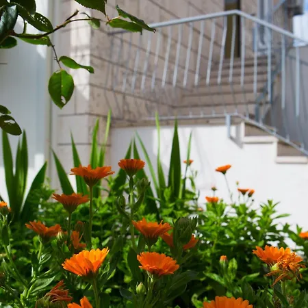 Aida And For Couples And Families Free Parking *