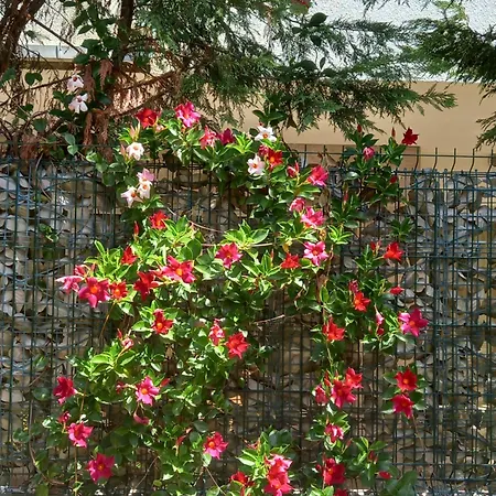 Aida And For Couples And Families Free Parking